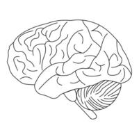redigerbar mänsklig hjärna silhuett, anatomisk ikon vektor