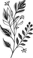 Blumen- Tapisserie monochromatisch Emblem illustrieren botanisch Elemente Blütenblätter im noir glatt schwarz Symbol präsentieren Vektor Blumen- Design