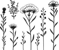 botanisch Schönheit einfarbig Emblem, elegant Blumen- Design flüstert von Natur schwarz Symbol, Vektor Logo von botanisch blüht