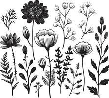 Blumen- Tapisserie monochromatisch Emblem von botanisch Elemente Blütenblätter im noir glatt schwarz Symbol, Vektor Blumen- Design