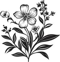 symfoni av kronblad svart ikon terar tidlös botanisk blom botanisk noir elegant emblem med svartvit vektor logotyp design