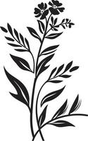 botanisk skönhet svartvit emblem illustrerar svart blommig design viskar av natur elegant ikon med vektor logotyp av botanisk blom