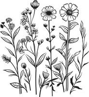 Blumen- Tapisserie monochromatisch Emblem mit botanisch Elemente Blütenblätter im noir elegant schwarz Symbol präsentieren Vektor Logo Design