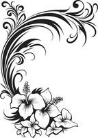 zauberhaft verschlingt schick Symbol Hervorheben dekorativ Ecken Naturen Nektar einfarbig Emblem mit dekorativ Blumen- Design vektor