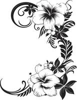 blommig strålglans chic vektor emblem highlighting dekorativ hörn kronblad av prestige elegant svart ikon med dekorativ blommig hörn
