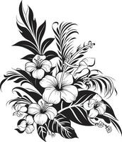 botaniska gränser svartvit logotyp design med dekorativ hörn blommig fresk elegant svart ikon terar dekorativ blommig hörn vektor