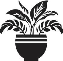 blommig finess elegant svart logotyp med vektor växt pott kronblad panorama svartvit växt pott logotyp med eleganta elegans
