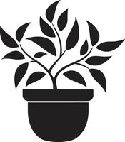 blommig finess elegant logotyp design med dekorativ växt pott i svart inlagd fullkomlighet eleganta växt pott logotyp i svart vektor