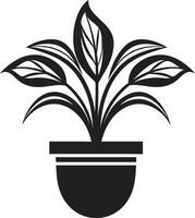 botaniska skönhet svartvit emblem highlighting dekorativ växt pott blommig fusion chic vektor växt pott logotyp i svart