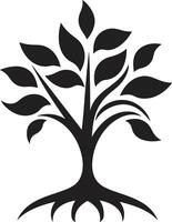 Öko Emblem Vektor Baum Plantage Logo im schwarz Logo Design nachhaltig Wachstum ikonisch schwarz Symbol von Baum Plantage