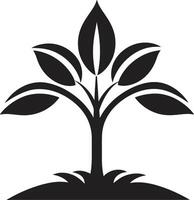 naturer mark vektor träd plantage symbol i svart lummig engagemang dynamisk svart logotyp design för grön initiativ