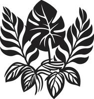 Urwald Harmonie Vektor schwarz Logo mit exotisch Pflanze Blätter und Blumen tropisch locken ikonisch Symbol im schwarz mit Pflanze Blätter und Blume Vektoren
