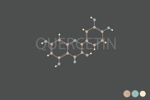 quercetin molekyl skelett- kemisk formel vektor