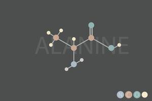 Alanin molekular Skelett- chemisch Formel vektor