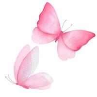 Aquarell Illustration von zart Rosa Schmetterlinge. handgefertigt, isoliert vektor