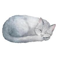 Aquarell Vektor Illustration von süß Schlafen grau Katze isoliert auf Weiß Hintergrund. können Sein benutzt zum Postkarten, Stoff drucken