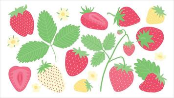 ein beschwingt Sammlung von Erdbeeren im verschiedene Farbtöne mit Grün Blätter und zart Blumen, abbilden Sommer ist Süss Kopfgeld im ein spielerisch, illustriert Stil. vektor