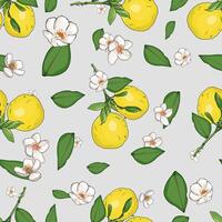 mönster av citroner, citron- blommor på en färgad bakgrund. gren med citroner. skön sömlös sommar semester sömlös mönster vektor