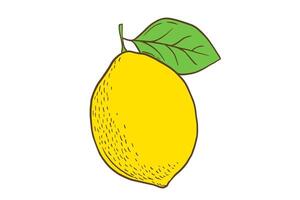 hand dragen Färg citron- med blad. frukt i platt stil, hela färsk citrus- isolerat på vit bakgrund vektor