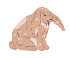söt kanin. hand dragen vår hare, påsk fluffig liten kanin platt illustration. traditionell påsk kanin karaktär på vit vektor