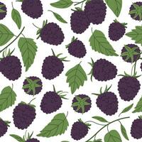 Brombeeren nahtlos Muster. Wald Brombeere endlos Design, frisch Beere zum gesund Ernährung eben Hintergrund Illustration. Hand gezeichnet Brombeere Muster vektor