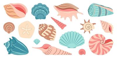 Meer Schale Karikatur Satz. Ozean exotisch unter Wasser Muschel Muschel Wasser- Weichtier, Meer Spiral- Schnecke Sammlung. tropisch Strand Muscheln. modern eben Stil isoliert auf Weiß Hintergrund. Illustration vektor