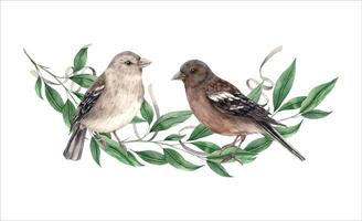 Singen realistisch Vögel sitzen auf ein Grün Ast. isoliert Aquarell Illustration im Jahrgang Stil. Hand gezeichnet Komposition zum Innere, Karten, Hochzeit Design, Einladungen, Textilien. vektor