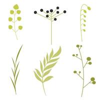 Blatt isoliert auf Weiß Hintergrund. Illustration von ein Grün Blatt. Blumen einstellen Illustration. neutral Blumen, Minimalismus. vektor