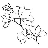 blad isolerat på vit bakgrund. illustration av en grön blad. blommor uppsättning illustration. neutral blommor, minimalism. vektor