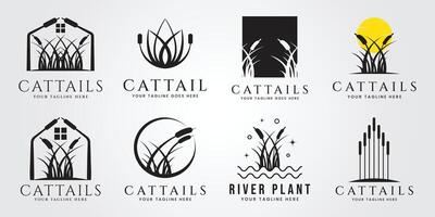 uppsättning bunt cattails växt silhuett logotyp illustration design vektor