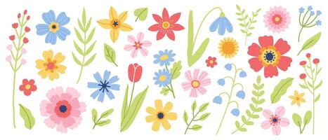 uppsättning av blommor och blommig element. platt illustration för hälsning kort eller inbjudan design. vektor