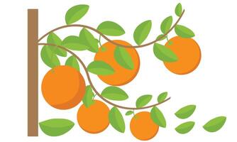 Orange Baum Design und Illustration. vektor