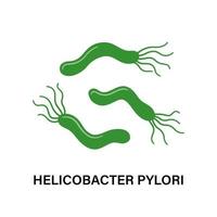 Helicobacter pylori. magsjukdomar. bakterie med flageller som orsakar gastrit. vektor