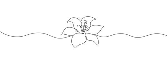 ein Lilie Blume gezeichnet mit einer kontinuierlich editierbar Linie. linear Blume. Illustration. vektor