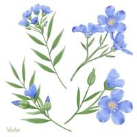schön Aquarell Flachs Blumen - - Frühling botanisch Design vektor