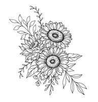 Sonnenblumen Linie Kunst, fein Linie Sonnenblumen Hand gezeichnet Illustration. fein Linie Sonnenblumen Illustration. Blumen- Linie Kunst. schwarz und Weiß Sonnenblumen Grafik vektor