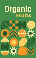 abstrakt geometrisk frukt mönster. former av naturlig organisk blomma växter, eko-jordbruk citrus. minimal illustration vektor