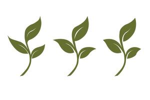 gro tre löv, organisk kreativ symbol begrepp. naturlig biokosmetika, natur vektor