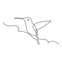 Kolibri kontinuierlich einer Linie Zeichnung Illustration Kunst Design vektor