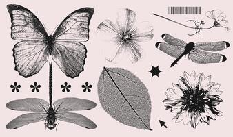 retro Fotokopie bewirken Sommer- Natur Elemente Sammlung. wild Blumen Köpfe, Schmetterling, Libelle mit Grunge Punk unordentlich Textur. modisch y2k ästhetisch Illustration. vektor