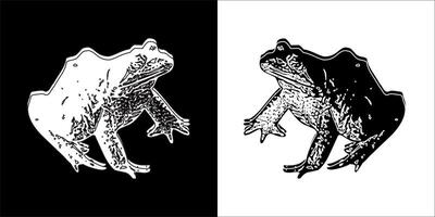 Illustration Grafik von Frosch Symbol vektor