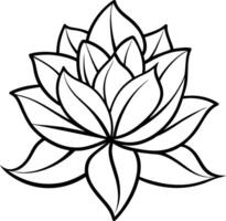 ein Zeichnung von ein Lotus Blume mit Blätter und Blätter vektor