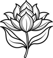 en teckning av en lotus blomma med löv och löv vektor