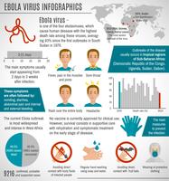 Ebola-Virus-Infografiken vektor