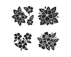 Immergrün Blumen Silhouette Symbol Grafik Logo Design vektor