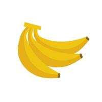 Bündel von Baum reif Bananen. eben Illustration isoliert auf Weiß Hintergrund. vektor