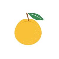 asiatisch Birne ganze Single Obst mit ein Blatt. eben Illustration isoliert auf Weiß Hintergrund. Koreanisch, japanisch oder Chinesisch Birne Farbe Symbol. runden Birne Seite Sicht. vektor