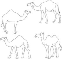 kamel ClipArt uppsättning. tecknad serie vild djur ClipArt uppsättning för älskande av vilda djur och växter vektor