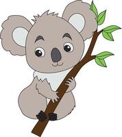 färgrik koala ClipArt. klotter djur ClipArt. tecknad serie vild djur ClipArt för älskande av vilda djur och växter vektor