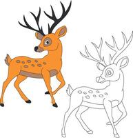 Hirsch Clip Art Satz. Karikatur wild Tiere Clip Art einstellen zum Liebhaber von Tierwelt vektor